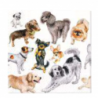 Serwetki Dogs Happiness - psy - 20 szt.