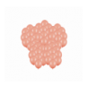 Balony Strong 23 cm ciemne brzoskwiniowe Pastel Peach - 50 sztuk