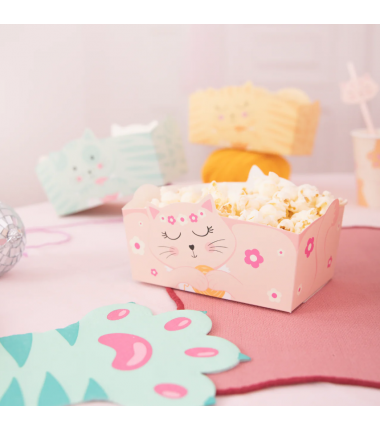Pudełko na chipsy Kotki 15x10cm 3 sztuki
