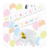 Box balonowy WITAJCIE W DOMU - kolorowy