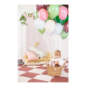 Balony Strong 27 cm dzika róża Pastel Wild Rose - 10 sztuk