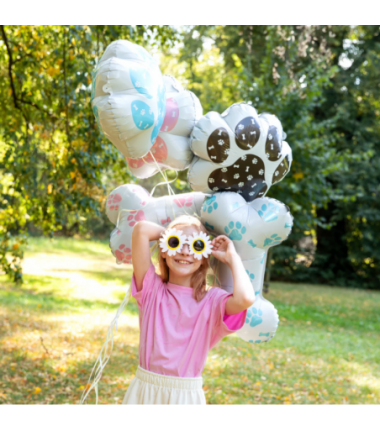 Balon foliowy Kostka dla psa - 2 sztuki