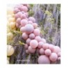 Balon Decorator 61cm - 24" Antique Pink różowy Fashion Antique Pink - 1 sztuka