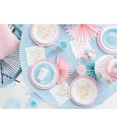 Kubeczki 200 ml Boy or Girl - 6 sztuk