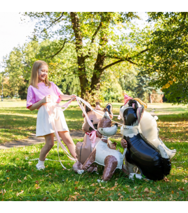Balon foliowy stojący Pies Border Collie z czapeczką 76x92 cm