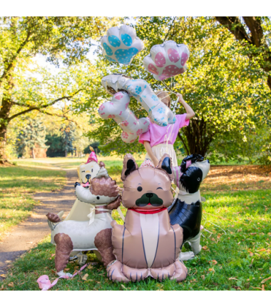 Balon foliowy stojący Pies Border Collie z czapeczką 76x92 cm