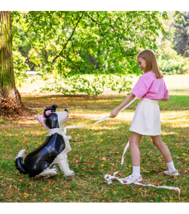 Balon foliowy stojący Pies Border Collie z czapeczką 76x92 cm