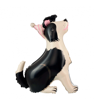 Balon foliowy stojący Pies Border Collie z czapeczką 76x92 cm