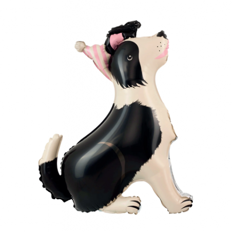 Balon foliowy stojący Pies Border Collie z czapeczką 76x92 cm