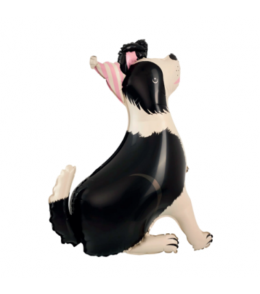 Balon foliowy stojący Pies Border Collie z czapeczką 76x92 cm