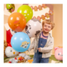 Balony Farma 30 cm - zestaw 6 sztuk