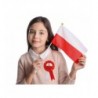 Kotylion narodowy Biało-Czerwony